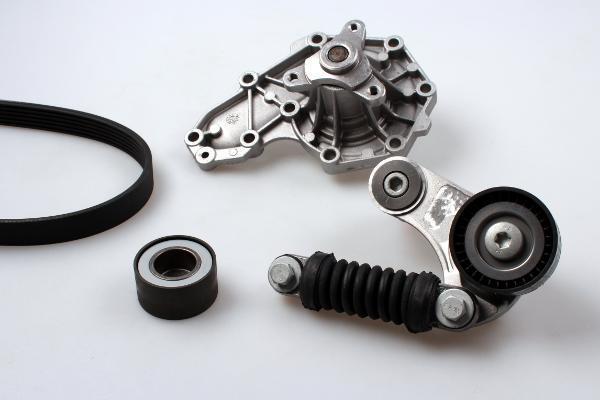 Hepu PK00542 водяной насос + комплект ручейковых ремней на RENAULT MEGANE I (BA0/1_)