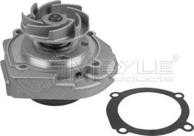 Meyle 213 220 0002 водяной насос на FIAT PANDA (169)