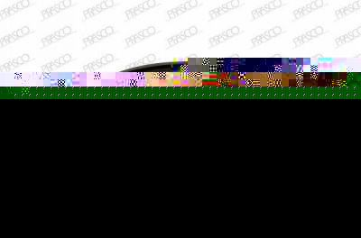 Prasco BM0262124 решетка вентилятора, буфер на 3 (E90)