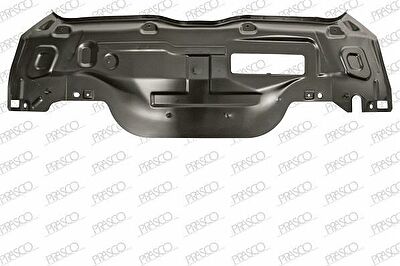 Prasco FT1333250 задняя стенка на FIAT PUNTO (188)