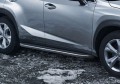 RIVAL RIVAL A173ALP.3202.1 Порог-площадка 