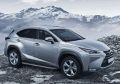 RIVAL RIVAL A173ALP.3202.1 Порог-площадка 