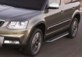 RIVAL RIVAL A173ALP.5101.1 Порог-площадка 