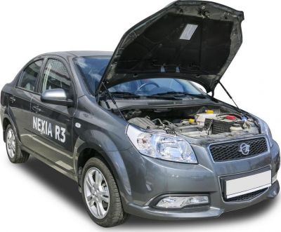 RIVAL RIVAL A.ST.1302.1 Амортизаторы капота RIVAL (2 шт.) Ravon R3 (2016-) (A.ST.1302.1)