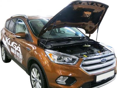 RIVAL RIVAL A.ST.1806.1 Амортизаторы капота RIVAL (2 шт.) Ford Kuga 2016- (A.ST.1806.1)