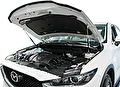 RIVAL RIVAL A.ST.3804.1 Амортизаторы капота RIVAL (2 шт.) Mazda CX-5 (2011-2016; 2017- ) (A.ST.3804.1)