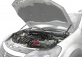 RIVAL RIVAL A.ST.4702.1 Амортизаторы капота Renault Sandero/Stepway (2007-2014/2009 -2016) (A.ST.4702.1) RIVAL RIVAL A.ST.4702.1 Амортизаторы капота Renault Sandero/Stepway (2007-2014/2009 -2016) (A.ST.4702.1)