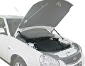 RIVAL RIVAL A.ST.6003.1 Амортизаторы капота RIVAL (2 шт.) Lada Priora 2007- (A.ST.6003.1)