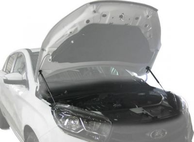 RIVAL RIVAL A.ST.6008.1 Амортизаторы капота RIVAL (2 шт.) Lada X-Ray 2016- (A.ST.6008.1)