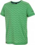 Футболка для активного отдыха Salewa 2016 PUEZ DRY K S/S TEE assenzio/5980 (EUR:140)