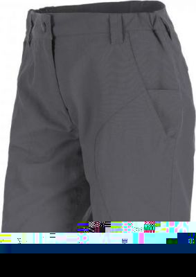 Шорты для активного отдыха Salewa 2016 FANES SEURA 2 DRY W SHORTS magnet (EUR:46/40)