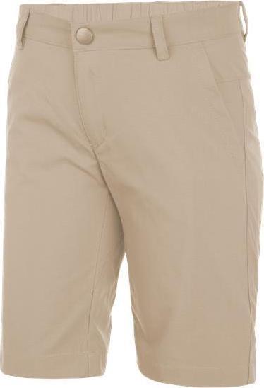 Шорты для активного отдыха Salewa 2017 FANES DRY K SHORTS pale khaki (Рост:164)