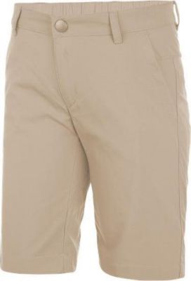 Шорты для активного отдыха Salewa 2017 FANES DRY K SHORTS pale khaki (Рост:128)
