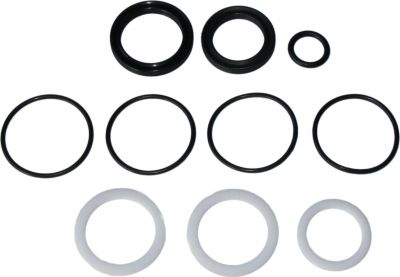 Набор резиновых уплотнений DT SWISS_Seal Kit ABS Unit O32 mm_FWKXXX0XXXX046165S