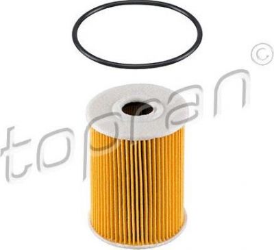 Topran 207 591 масляный фильтр на NISSAN INTERSTAR c бортовой платформой/ходовая часть