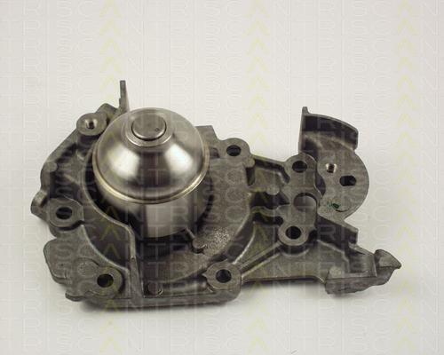 TRISCAN 8600 25013 водяной насос на RENAULT CLIO II (BB0/1/2_, CB0/1/2_)