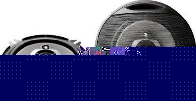 Pioneer TS-G1313i