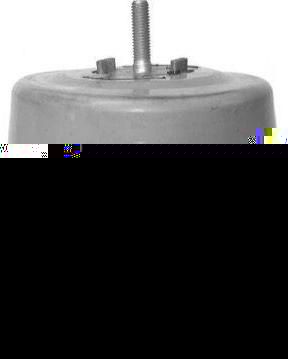 VAICO V10-1571 подвеска, двигатель на AUDI A4 Avant (8E5, B6)