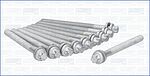 AJUSA 81039600 комплект болтов головки блока цилиндров Peugeot, Citroen, M11×1,5, 10 шт.