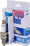 FINWHALE FS2 Свеча зажигания 3-х электродная FINWHALE FS2 Свеча зажигания 3-х электродная