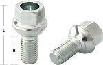 Bimecc Болт M12x1,5 (40/ 21) hex17 сфера цинк (ИТАЛИЯ) LS17A21F BC LS17A21F