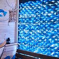 NEON-NIGHT 215-022 Гирлянда светодиодная Сеть 2х1,5м 288 LED БЕЛЫЙ/СИНИЙ черный ПВХ IP65 свечение с динамикой 230В контроллер в комплекте NEON-NIGHT 