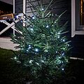 NEON-NIGHT 303-135 Гирлянда Нить управляемая 10м 100 LED БЕЛЫЙ черный ПВХ IP65 свечение с динамикой 230В нужен контроллер 217-204 NEON-NIGHT