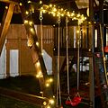 NEON-NIGHT 303-138 Гирлянда Нить управляемая 10м 100 LED ЗОЛОТОЙ черный ПВХ IP65 свечение с динамикой 230В контроллер в комплекте NEON-NIGHT