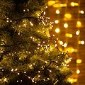 NEON-NIGHT 303-626 Гирлянда Кластер LED 3 м, темно-зеленый ПВХ IP20, 288 диодов, цвет теплый белый