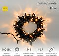 NEON-NIGHT 305-241 Гирлянда светодиодная Нить 10м 100 LED ЖЕЛТЫЙ черный ПВХ IP65 эффект мерцания 24В соединяется NEON-NIGHT нужен трансформатор 531-100/531-311/531-312 NEON-NIGHT 305-241 Гирлянда светодиодная Нить 10м 100 LED ЖЕЛТЫЙ черный ПВХ IP65 эффект мерцания 24В соединяется NEON-NIGHT нужен трансформатор 531-100/531-311/531-312
