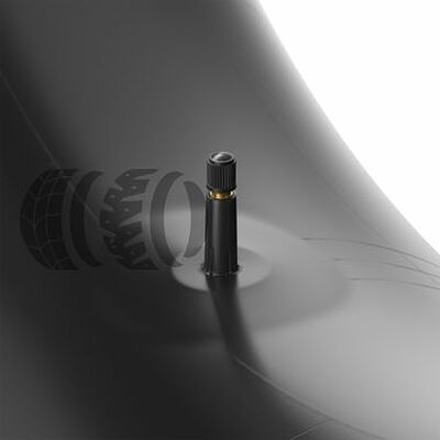 Норм Камера 225-16 вентиль TR-13 225-16Н