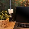 REXANT 06-0105-C Розетка сетевая LAN, на стену, 2 гнездо 8Р8С (RJ-45), CAT 5е REXANT 
