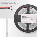 REXANT 141-217 Лента светодиодная 12В, SMD2835, 9,6Вт/м, 60 LED/м, 6500K, 8мм, 5м, IP20 REXANT