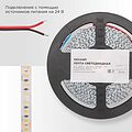 REXANT 141-637 Лента светодиодная 24В, SMD2835, 9,6Вт/м, 120 LED/м, 3000K, 10мм, 5м,IP20 REXANT