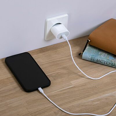 REXANT 16-0234-4 Сетевое зарядное устройство USB-C, 20Вт в комплекте с кабелем USB-C – Lightning REXANT