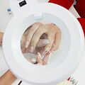 REXANT 31-0021 Лупа на струбцине круглая 8D с подсветкой, ø127мм, белая REXANT