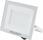 REXANT 605-027 Прожектор светодиодный СДО 100Вт 8000Лм 6500K холодный свет, белый корпус REXANT