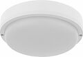 REXANT 607-286 Светильник ЖКХ LED пылевлагозащищенный круг IP65 30Вт 2850Лм 6500K с микроволновым датчиком движения REXANT REXANT 607-286 Светильник ЖКХ LED пылевлагозащищенный круг IP65 30Вт 2850Лм 6500K с микроволновым датчиком движения REXANT