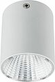 REXANT 615-001 Светильник универсальный REXANT Sirius 15 Вт 4000 К LED белый