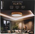 REXANT 650-1077 Светильник потолочный Alata, LUMI Line, 70Вт, 500х90 мм, соломенный REXANT REXANT 650-1077 Светильник потолочный Alata, LUMI Line, 70Вт, 500х90 мм, соломенный REXANT