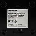REXANT 75-0603 Ночник светодиодный Стеклянный медведь REXANT