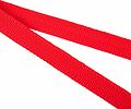 REXANT 80-0247 Ремень для крепления груза, с фиксатором, 6м REXANT