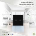 SECURIC SEC-HV-802B2 Умный Wi-Fi выключатель двухкнопочный черный SECURIC