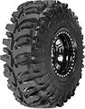 Accelera Badak X-Treme