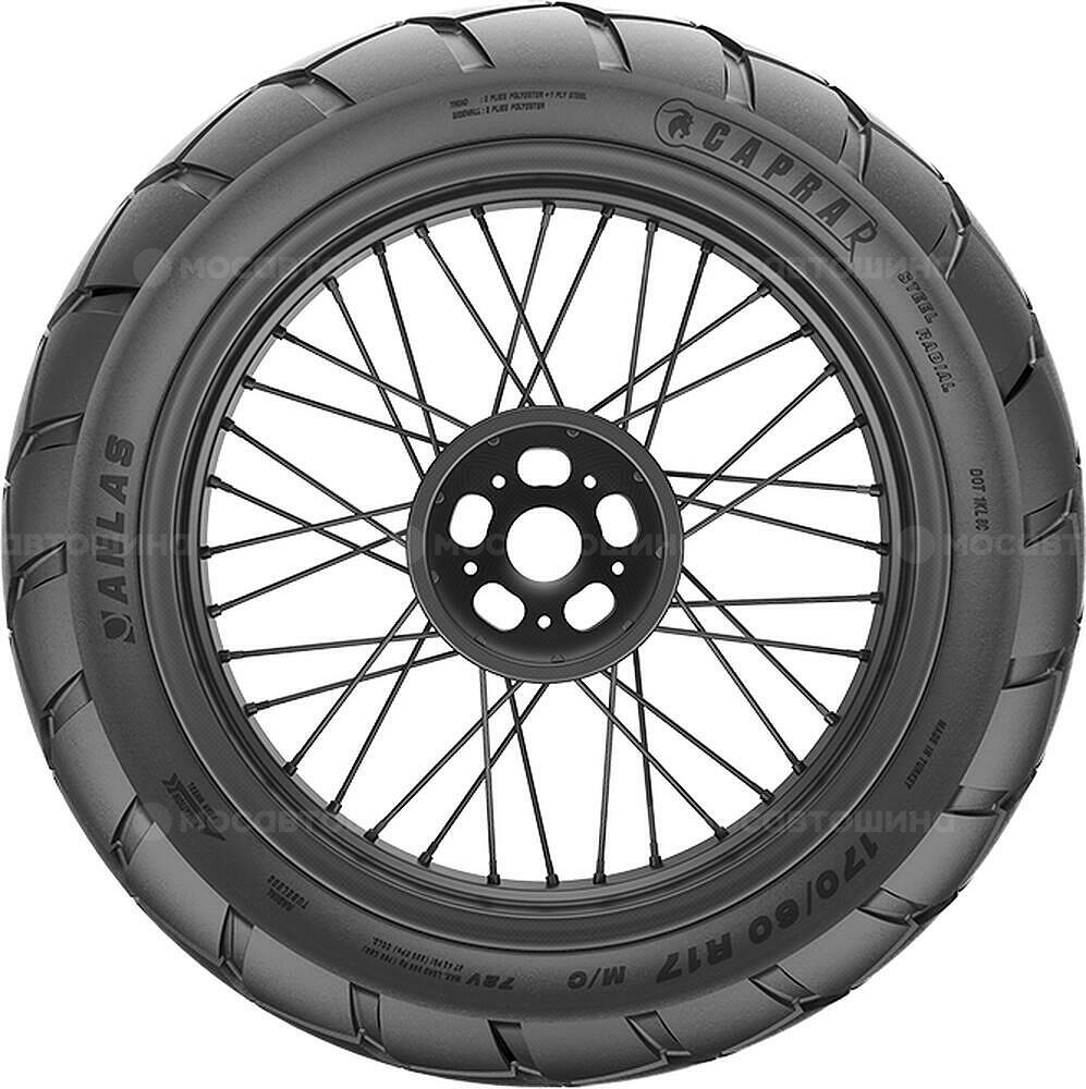 侧视图 Anlas Capra-R 3.00-21 51S (Передняя)