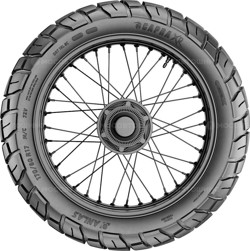 侧视图 Anlas Capra-XR 170/60 R17 72V (Задняя)