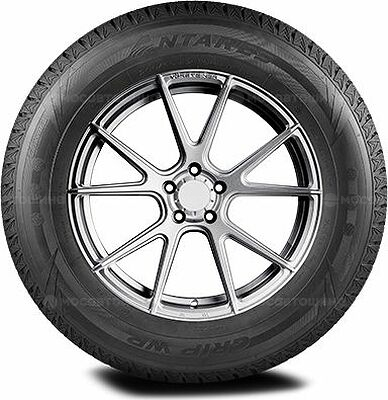 Antares Grip Winter Plus 255/40 R20 101H 