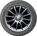 Autogreen Winter-Max A1-WL5 235/60 R16 100H 