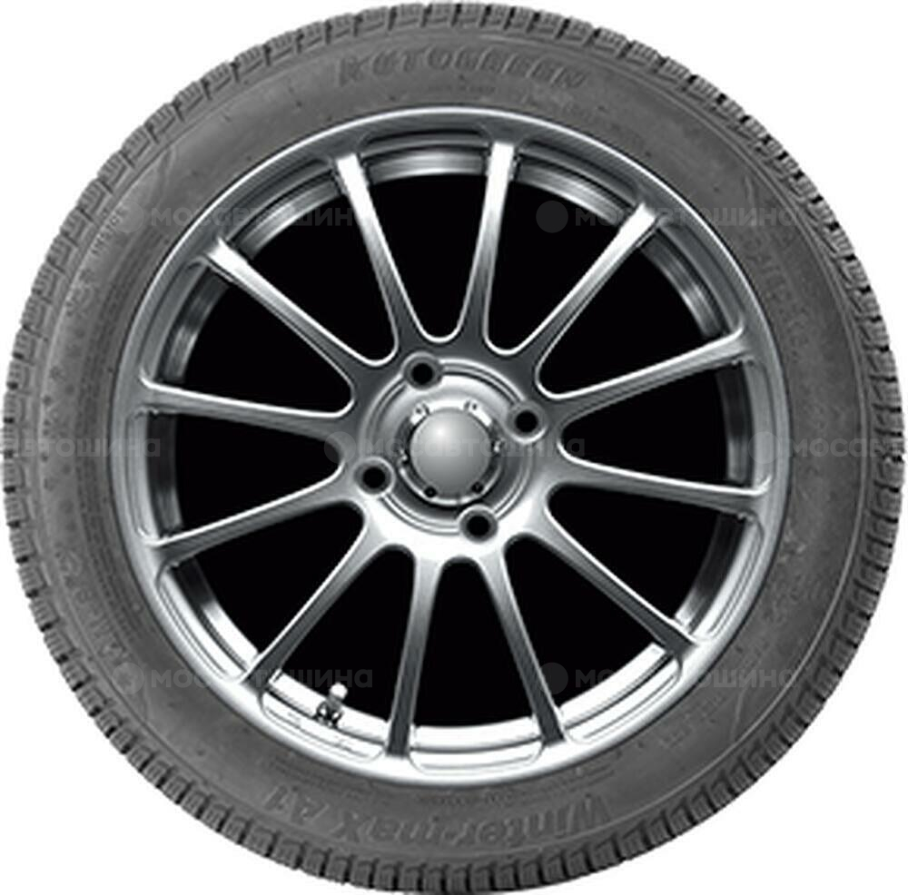 侧视图 Autogreen Winter-Max A1-WL5 195/55 R15 85H