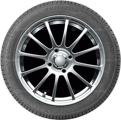 Autogreen Winter-Max U1-WL2 175/65 R14 82T